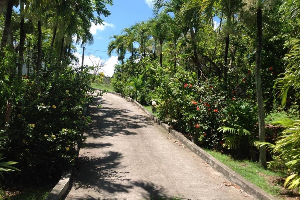 Le Domaine De Boisvin Villa Sainte-Anne  Luaran gambar